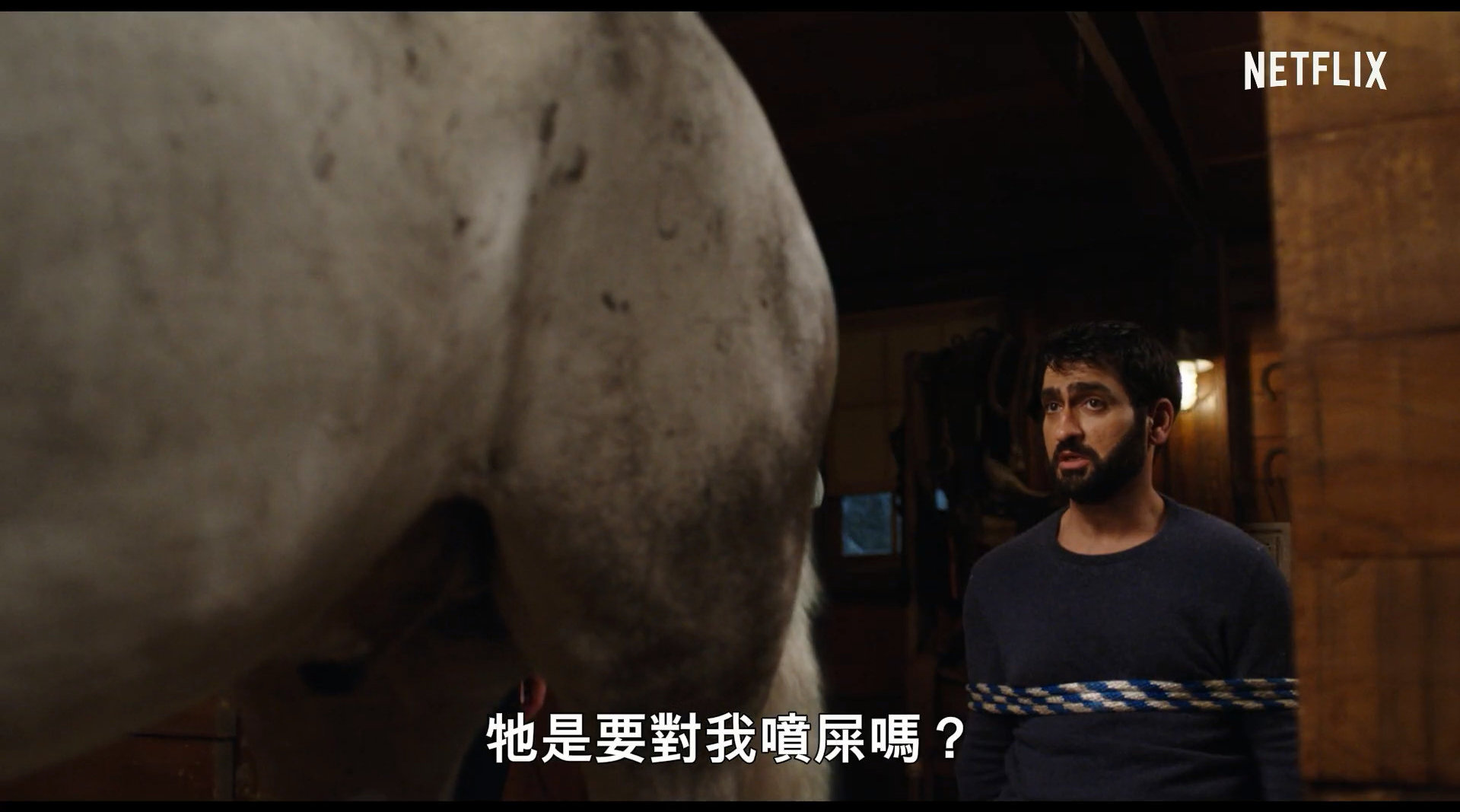 Netflix荒诞喜剧电影《爱情鸟的自救》...